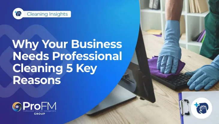 Why Your Businesses Needs Professional Cleaning