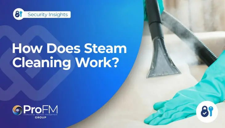 How Does Steam Cleaning Work?