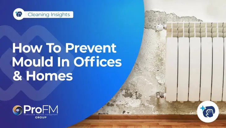 How To Prevent Mould In Offices & Homes