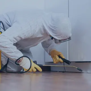 Pest Control