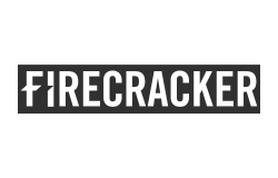 Trust With Security Services In Wolverhampton With Firecracker