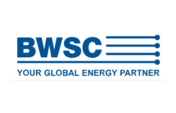Trust With Security Services In The Energy Sector With BWSC