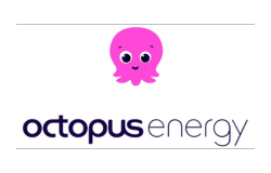 Trust With Security Services In The Energy Sector With Octopus Energy