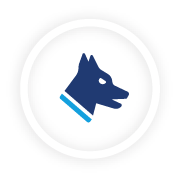 We Deploy Detection Dogs To Enhance Security and Seek Threats