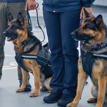 Canine Security Services
