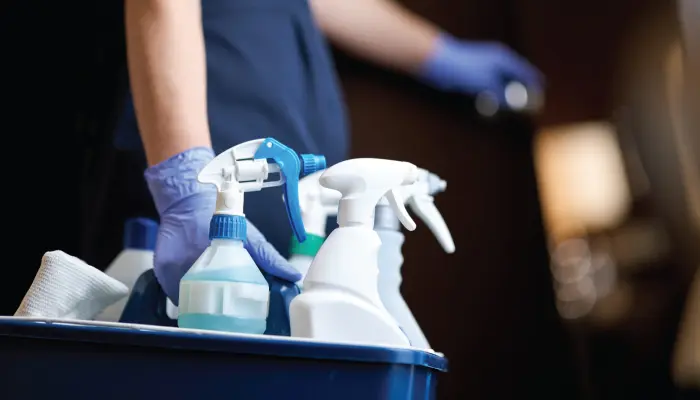 Discover Our Cleaning Services