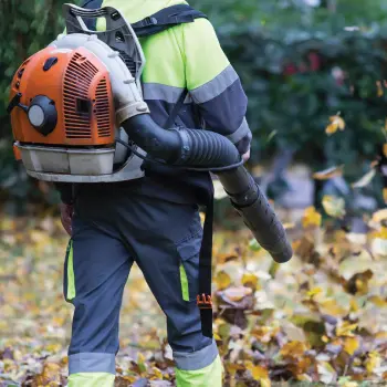 Landscaping & Grounds Maintenance