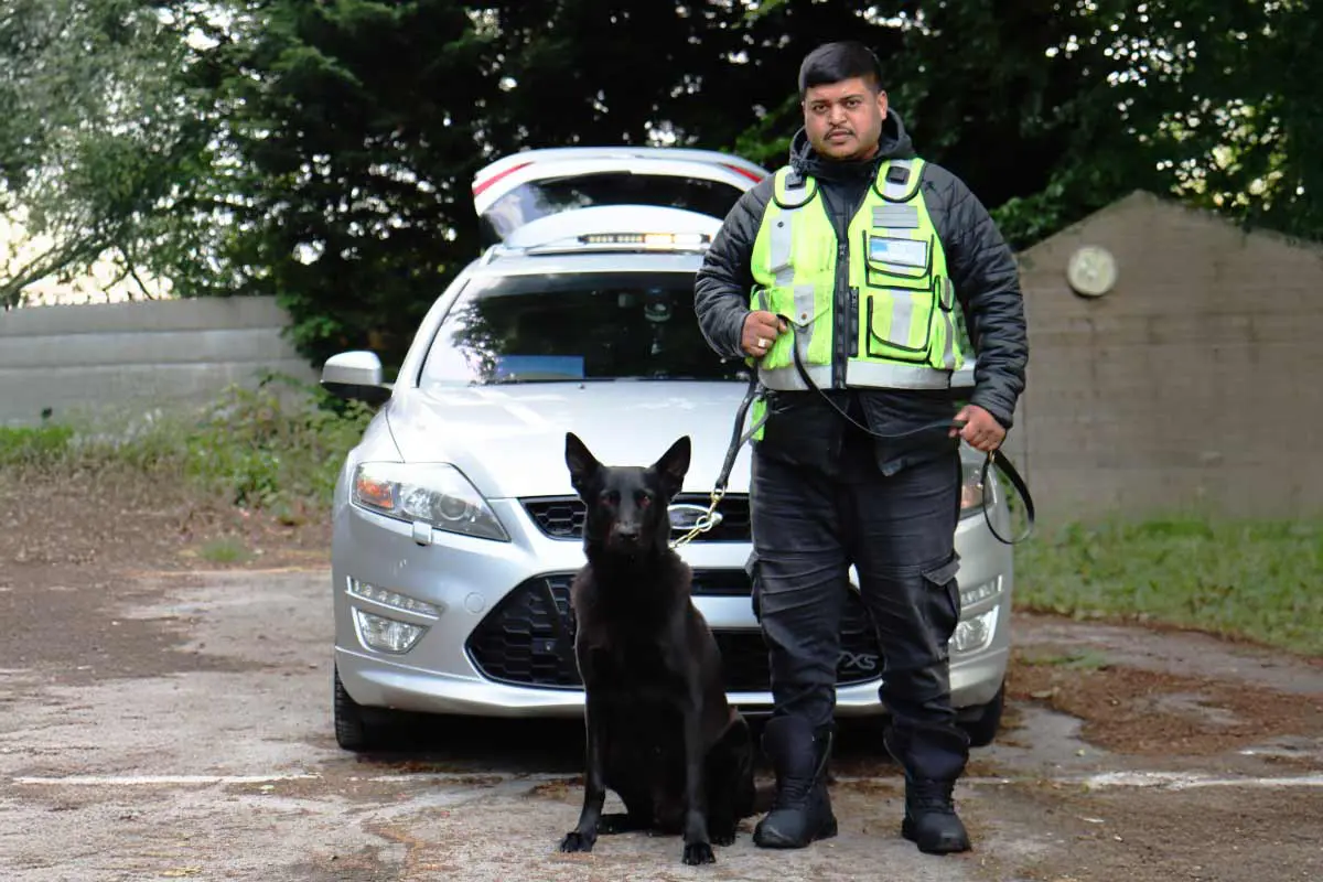 Benefits of Choosing Our Canine Security Services