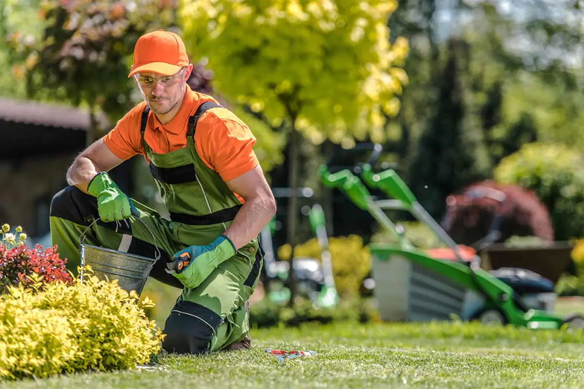 Benefits of Choosing Landscaping Services For Your Site
