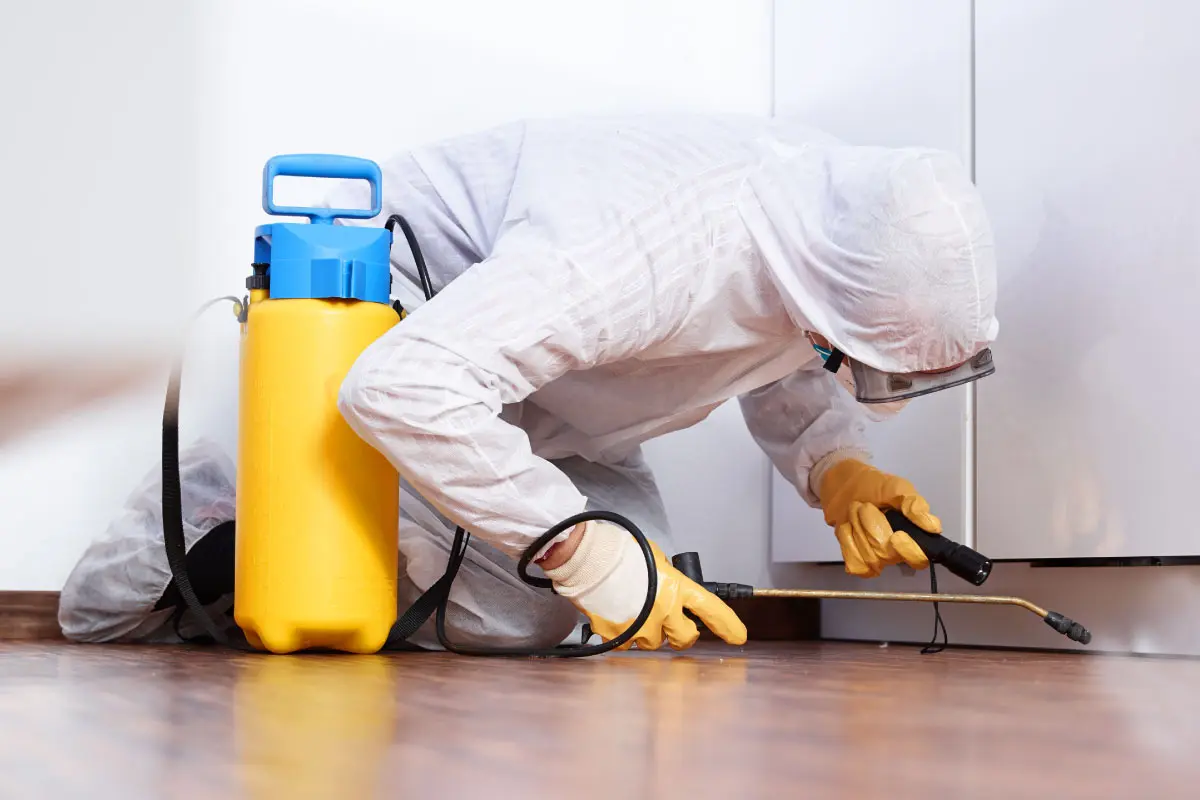 Benefits of Choosing Pest Control Services For Your Site