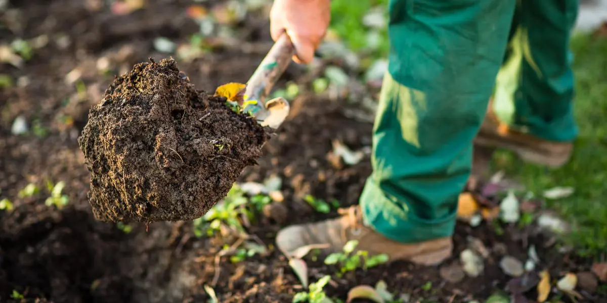 We’re firm believers that, without the right foundations, commercial landscaping can become stale. Our site analysis begins from that very visit, creating bespoke plans that are curated to not only maximise the use of the space, but to create a place that visitors want to return to, such as open spaces on new construction, public parks, and corporate facilities. We’ll work with you to choose the right, sustainably-sourced options for your builds, and provide support along the road towards a net-zero future for your outdoor (and indoor) spaces. It’s all part and parcel of the ProFM approach – we deliver solutions, not services. That’s an all-encompassing service, too, from initial installs to maintenance long into the future.