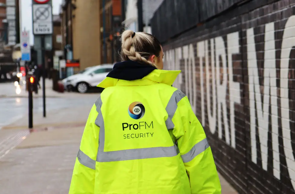 ProFM security risks and crime statistics in the North West