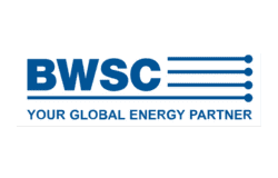 Trust With Security Services In The Energy Sector With BWSC