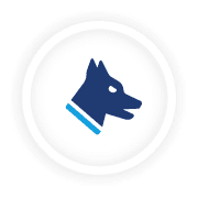 We Deploy Detection Dogs To Enhance Security and Seek Threats