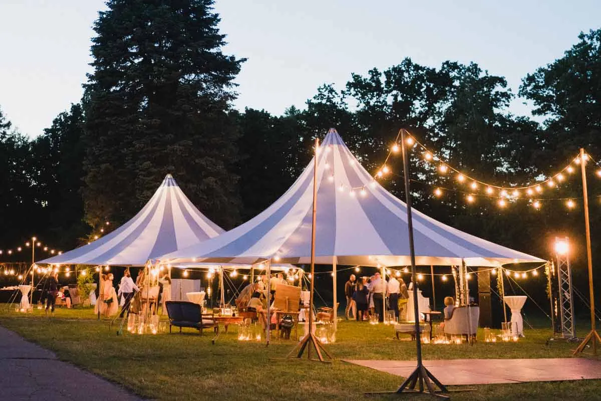 Benefits of Choosing Our Wedding and Party Security Services