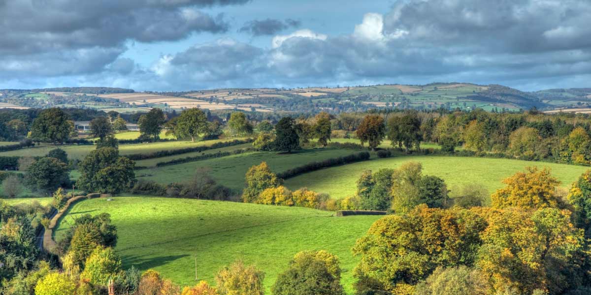 Full Range of Security Services Covering The Whole of The West Midlands