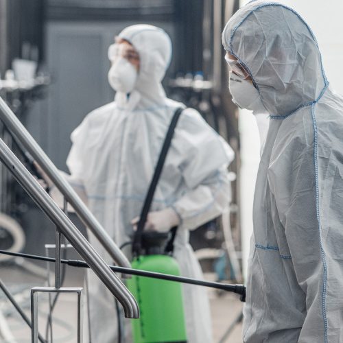 Specialist Cleaning