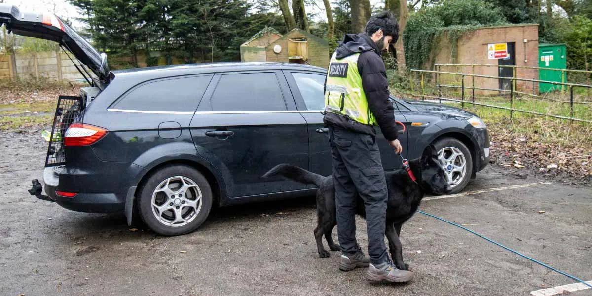 What Are Our Canine Security Services?